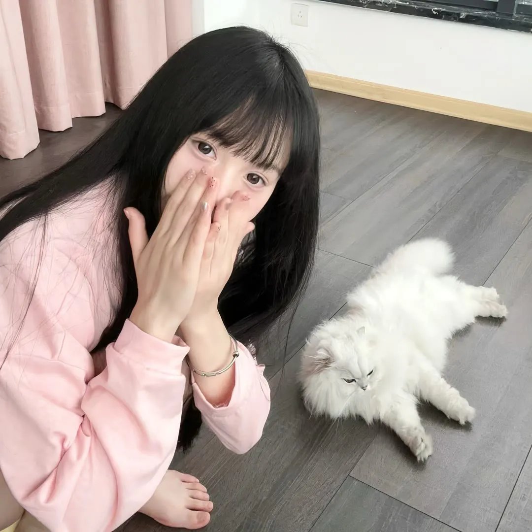 彩岛人生