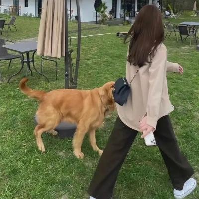 我的三体第四季
